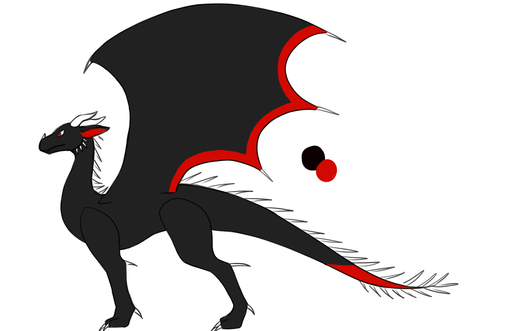 A drawing of a dragon from the side view with it's wing raised. The dragon is black, with a red tip on it's tail, red inside it's ears, and a red border along the membranes of it's wing. There are long white spikes going down the entirety of the spine, including the underside of the red tip on the tail. It has 2 sets of horns on it's head, spikes on the back of the jawbone, and on the elbows and ankles of all 4 legs. 